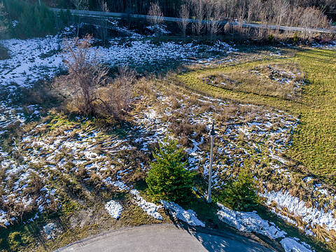 21 Raintree Court, Collingwood