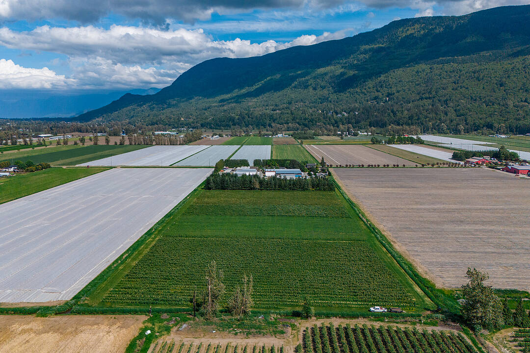 3387 Tolmie Road, Abbotsford, British Columbia