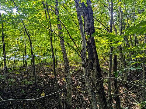 1031 Haven Road, Bracebridge