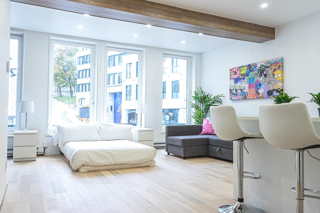 44 Rue Garneau, Apt. 102, La Cité, Québec