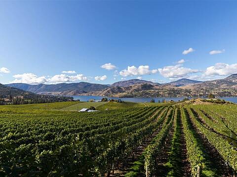 385 Matheson Road, Okanagan Falls