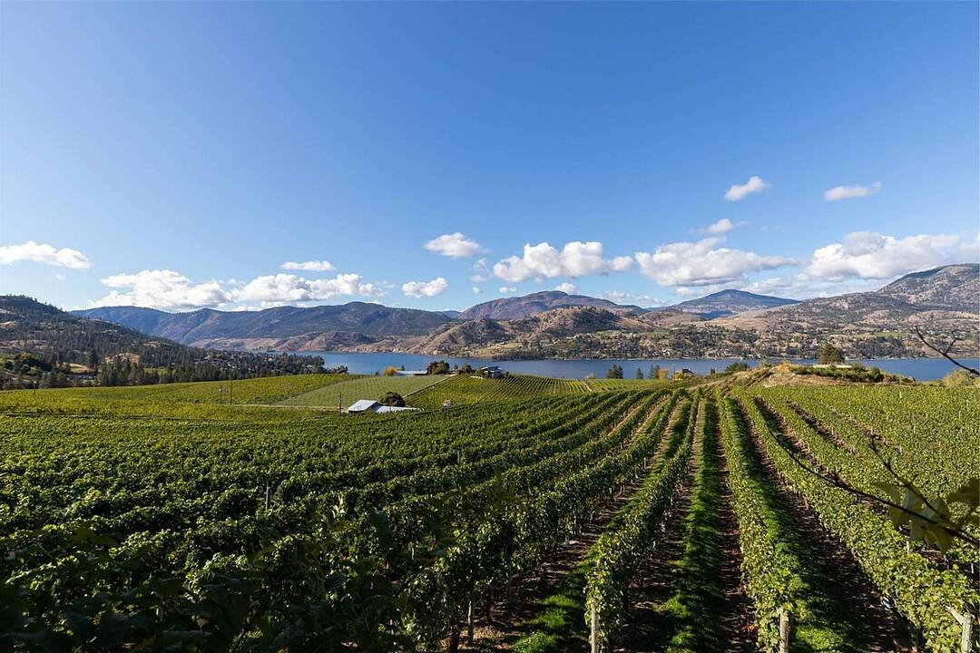 385 Matheson Road, Okanagan Falls, British Columbia