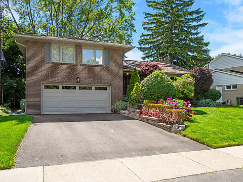 16 Conifer Dr, Toronto