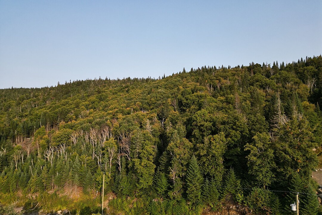Ch. du Mont-Jasper, Saint-Donat, Québec