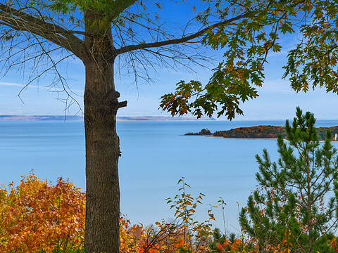 670 Concession 20 W, Tiny