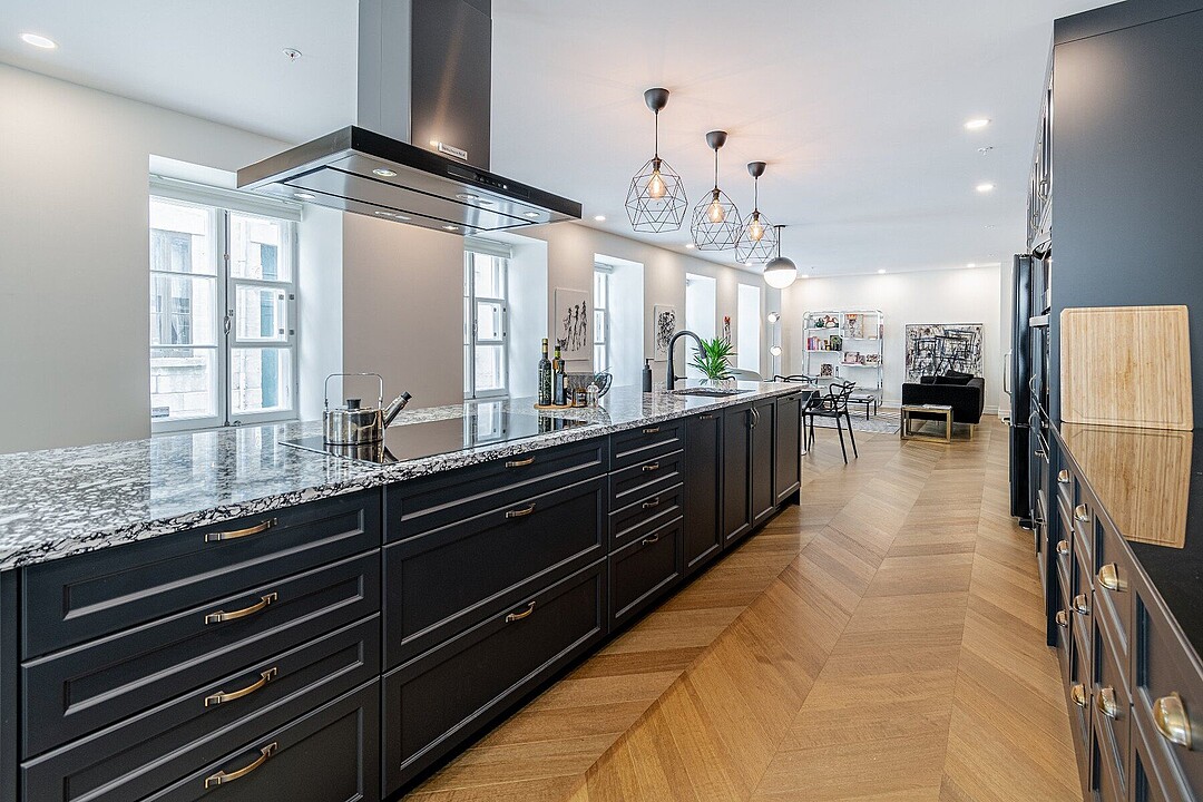 16 Rue Couillard, Apt. 101, La Cité, Québec