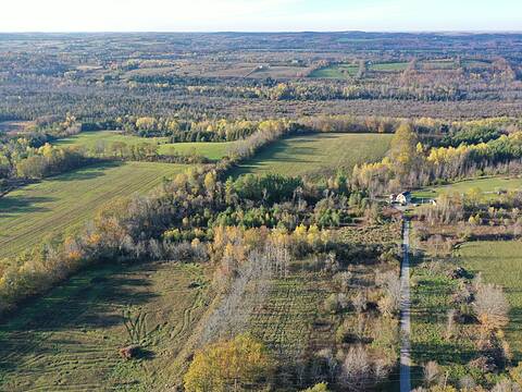 532 Concession Road 2 W, Warkworth