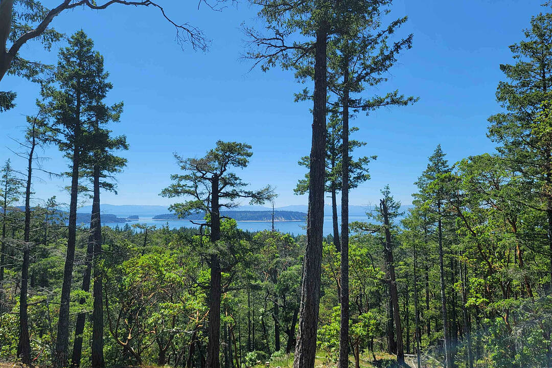 Lot 40 Wood Bay Ridge Road, Halfmoon Bay, British Columbia