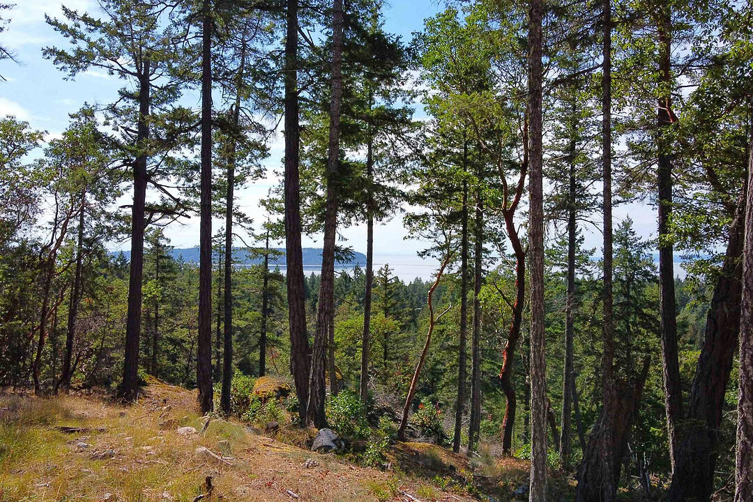 Lot 41 Wood Bay Ridge Road, Halfmoon Bay, British Columbia