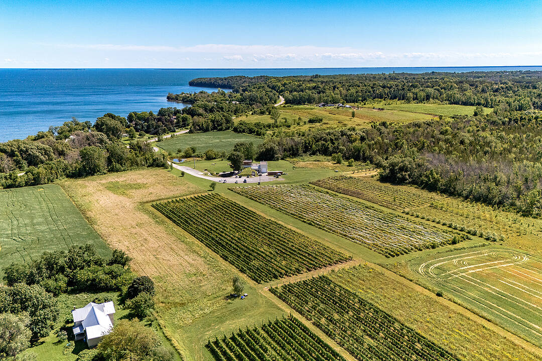 4309 County Road 8, Prince Edward County, Ontario