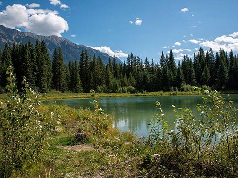 4227-4233 Beaverfoot Forest Service Road, Golden