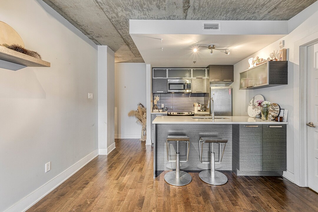 225 Rue de la Montagne, Apt. 201, Le Sud-Ouest, Québec