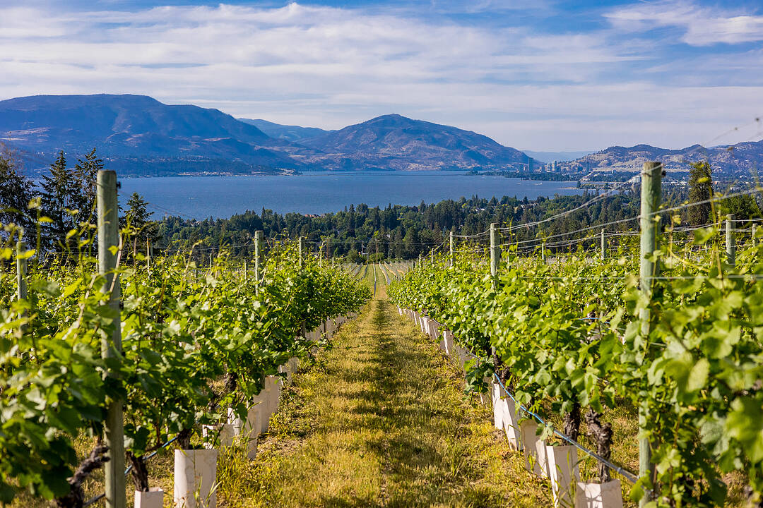 4855 Chute Lake Road, Kelowna, British Columbia
