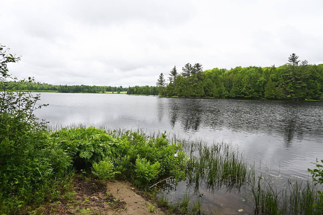597 (Lot 1) Fords Rd, Magnetawan, Ontario