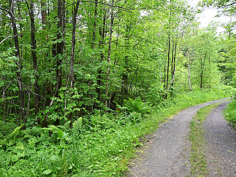 597 (Lot 3) Fords Rd, Magnetawan