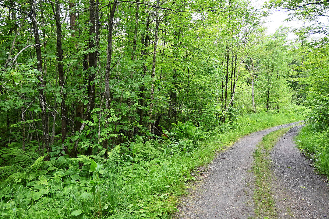 597 (Lot 3) Fords Rd, Magnetawan, Ontario