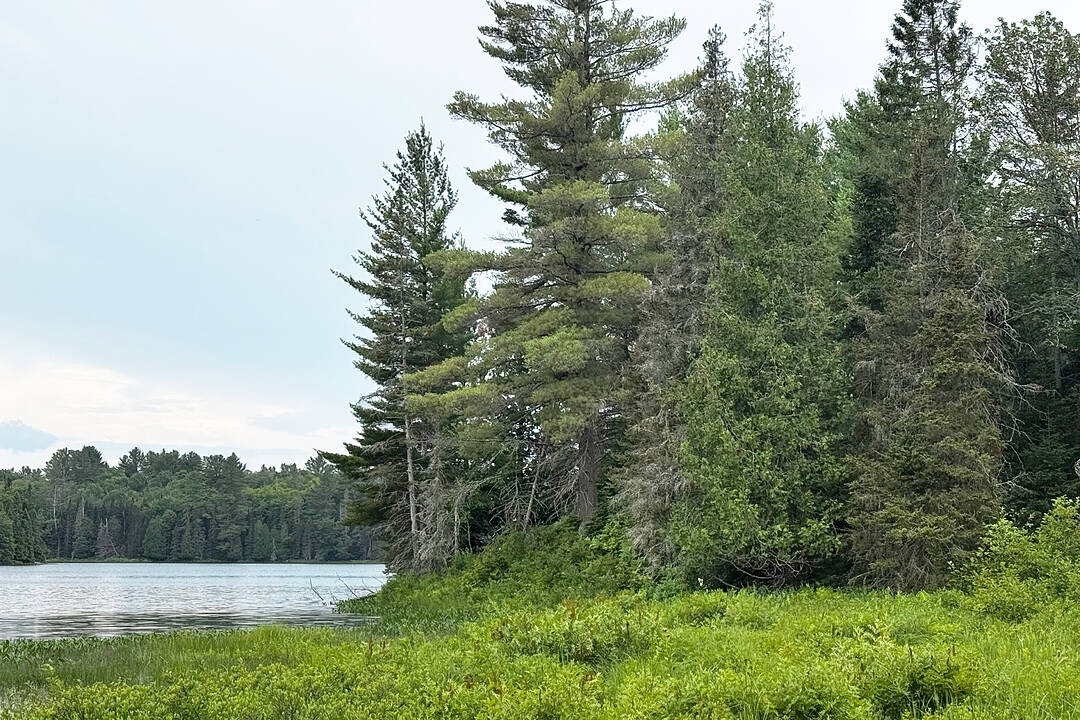 597 (Lot 4) Fords Rd, Magnetawan, Ontario