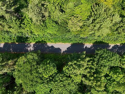 1098 Old Highway 117, Lake of Bays