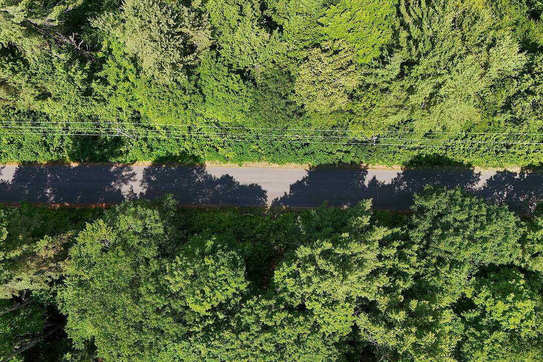 1098 Old Hwy 117, Lake of Bays, Ontario