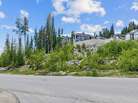 5850 Snow Pines Way, Big White