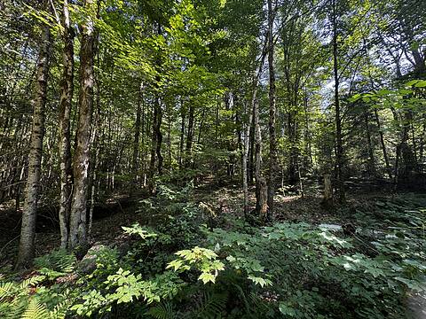 0 Kirk Line, Bracebridge