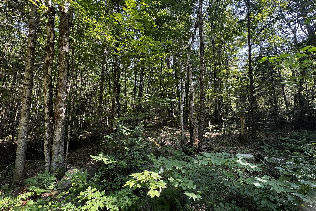 0 Kirk Line, Bracebridge, Ontario