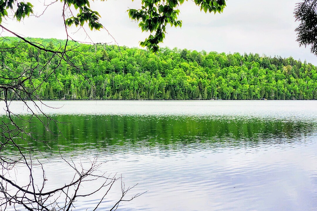 Ch. du Lac-d'en-Bas, Saint-Alexis-des-Monts, Québec
