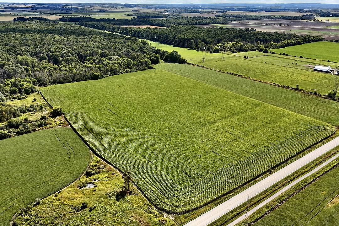 5231 13th Line, New Tecumseth, Ontario