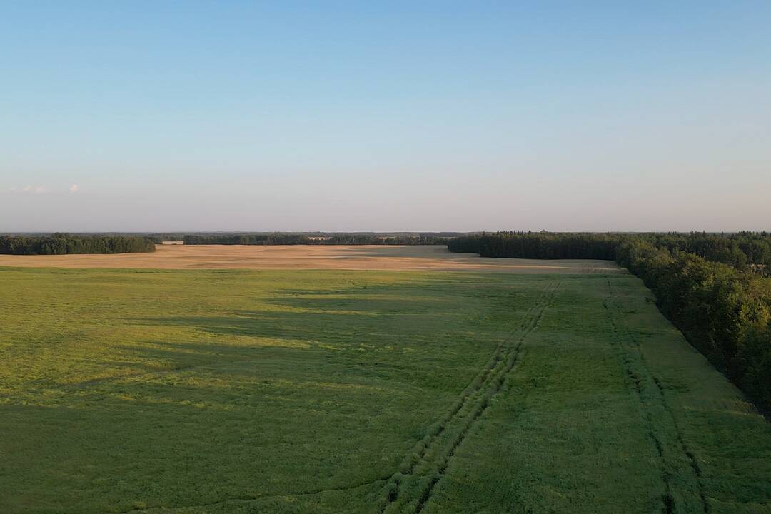 Rr224 Twp 610, Rural Thorhild County, Alberta