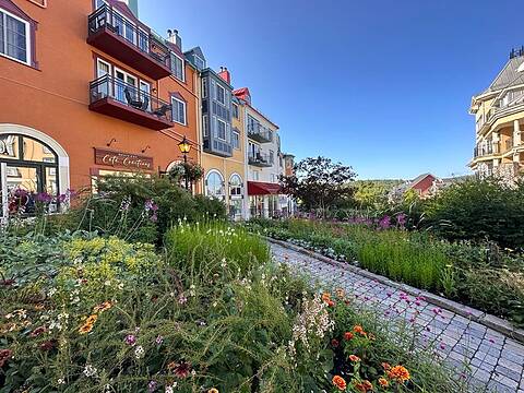 116 Ch. de Kandahar, Apt. 448, Mont-Tremblant