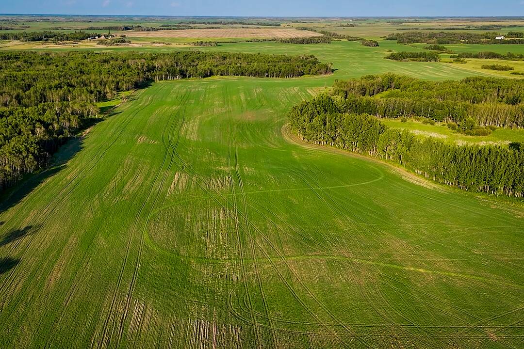 Nw 4-43-4-w4, Rural Camrose County, Alberta