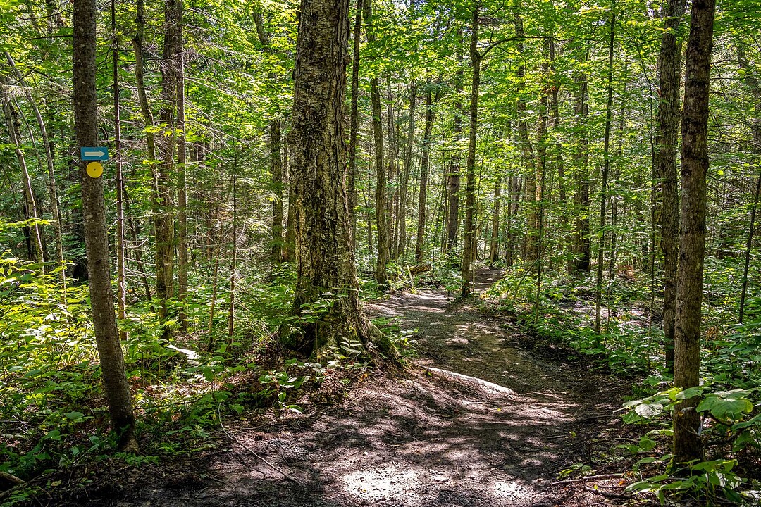 51 Ch. du Liberator, Saint-Donat, Québec