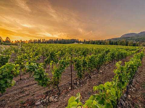 LT 1 North Road, Duncan