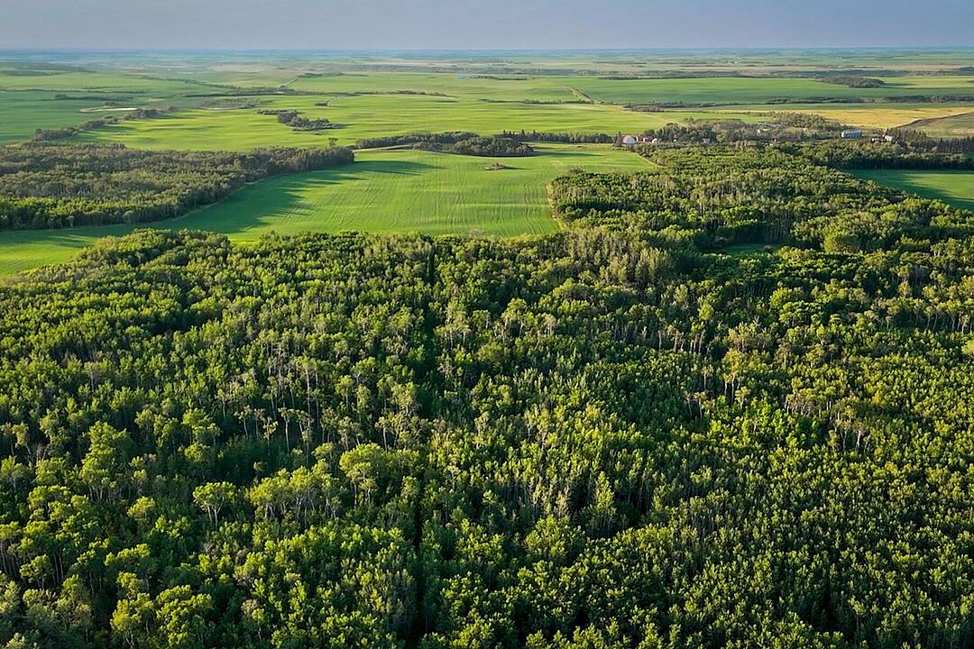 9-43-18-w4, Rural Camrose County, Alberta