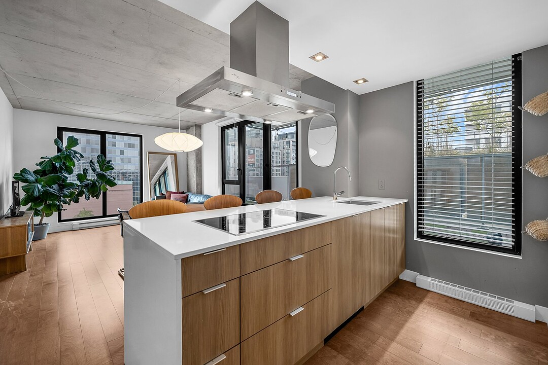 738 Rue St-Paul O., Apt. 1015, Ville-Marie, Québec