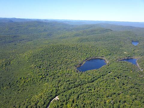 District 4, Chertsey