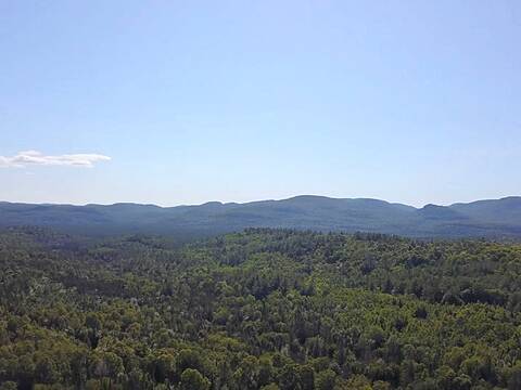 District 4, Chertsey