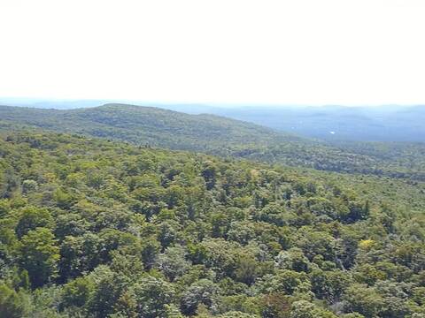 District 4, Chertsey