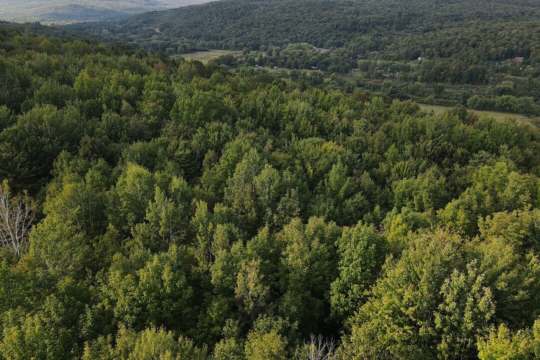 23 Ch. de la Mine, Potton, Québec