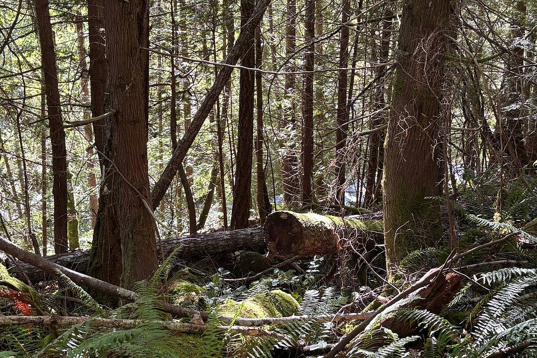 Lot B Porters Road, Pender Harbour, British Columbia