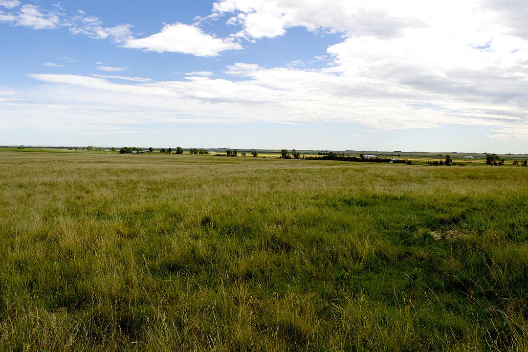 530 Ave W, Rural Foothills County, Alberta