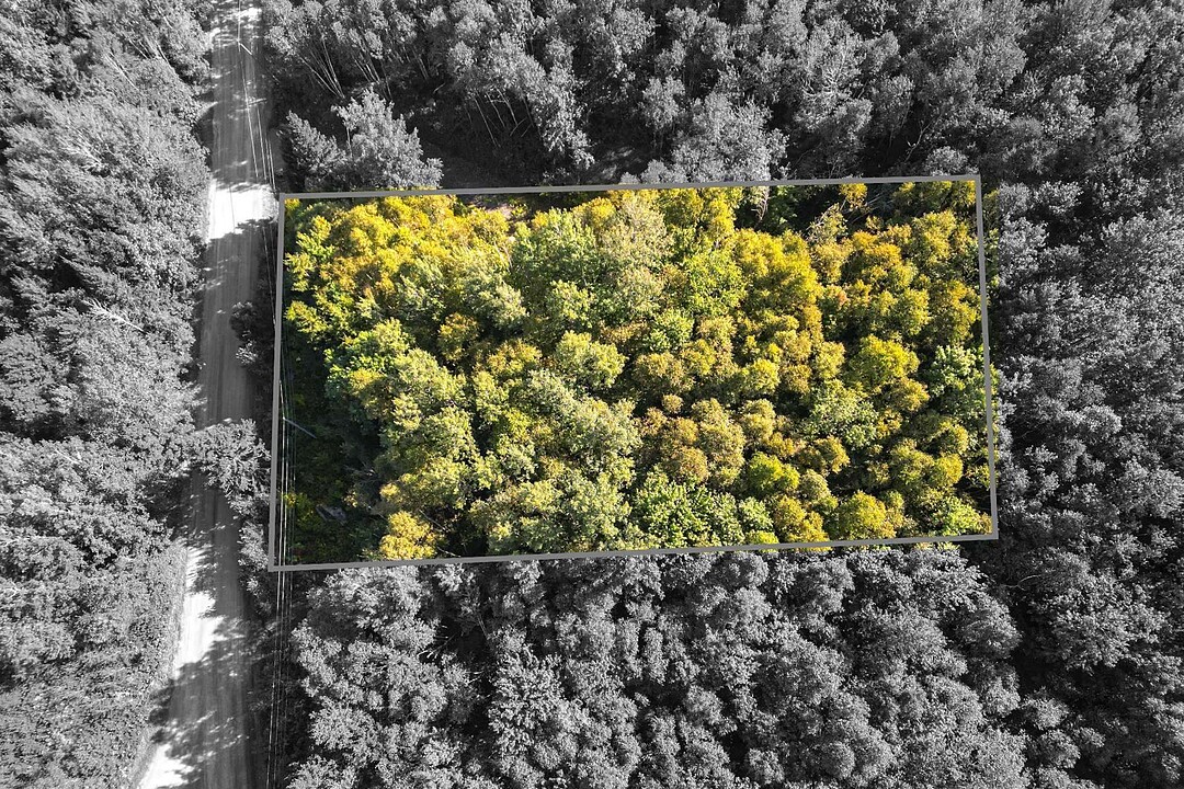 Ch. des Faucons, Mont-Blanc, Québec