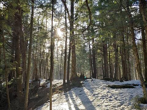 102 Rue des Faux-Trembles, Eastman