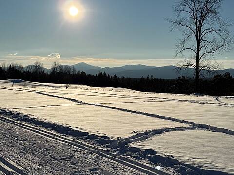 Ch. Owl's Head, Potton