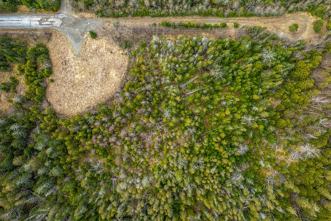 45 Crestwood Lane, St. Andrews, New Brunswick