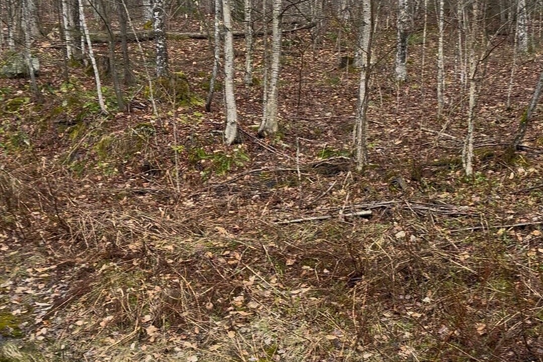 Ch. de la Falaise, Potton, Québec