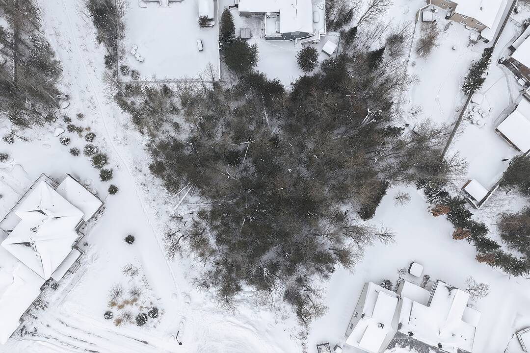 152 Timber Lane, Blue Mountains, Ontario