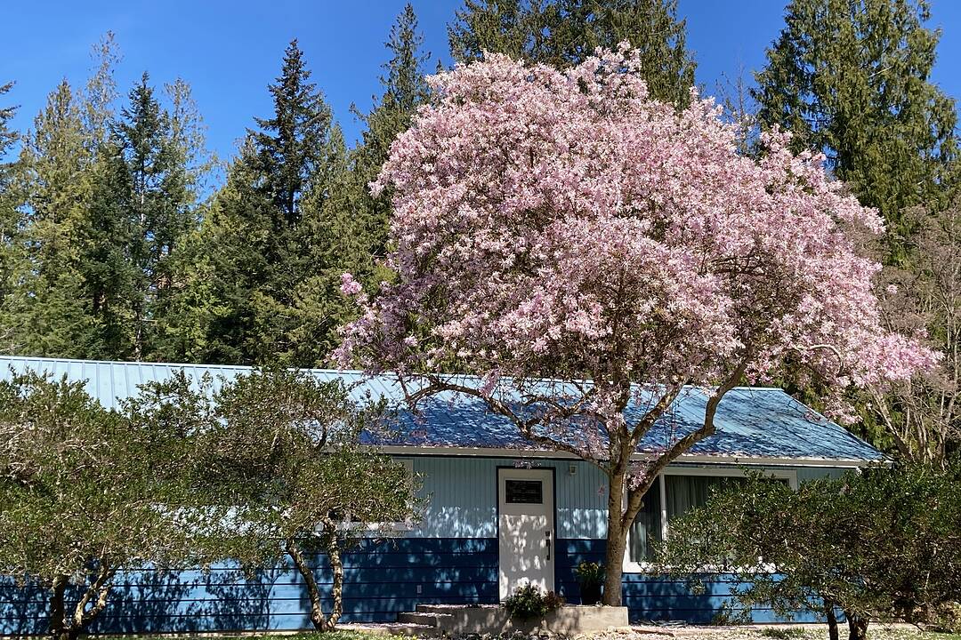 4569 Francis Peninsula Road, Madeira Park, British Columbia