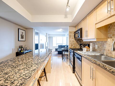 20 Blue Jays Way #1705, Toronto