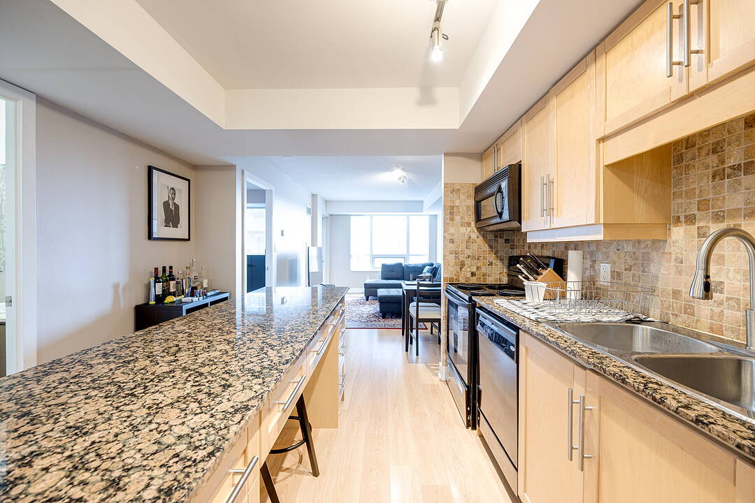 20 Blue Jays Way #1705, Toronto, Ontario